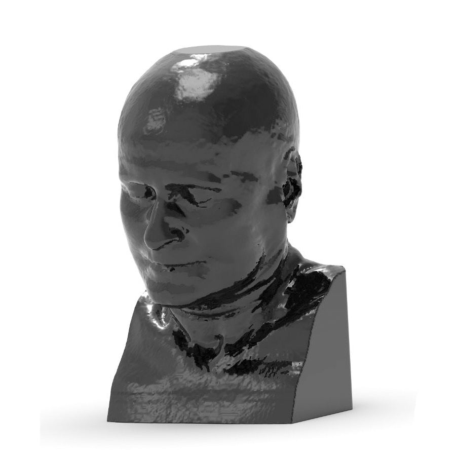 Professional CTA Head and Neck Phantom - High-Quality CT Scan & X-Ray Training Model for Medical Education | Perfect for Radiology Students, Technicians & Clinical Practice
