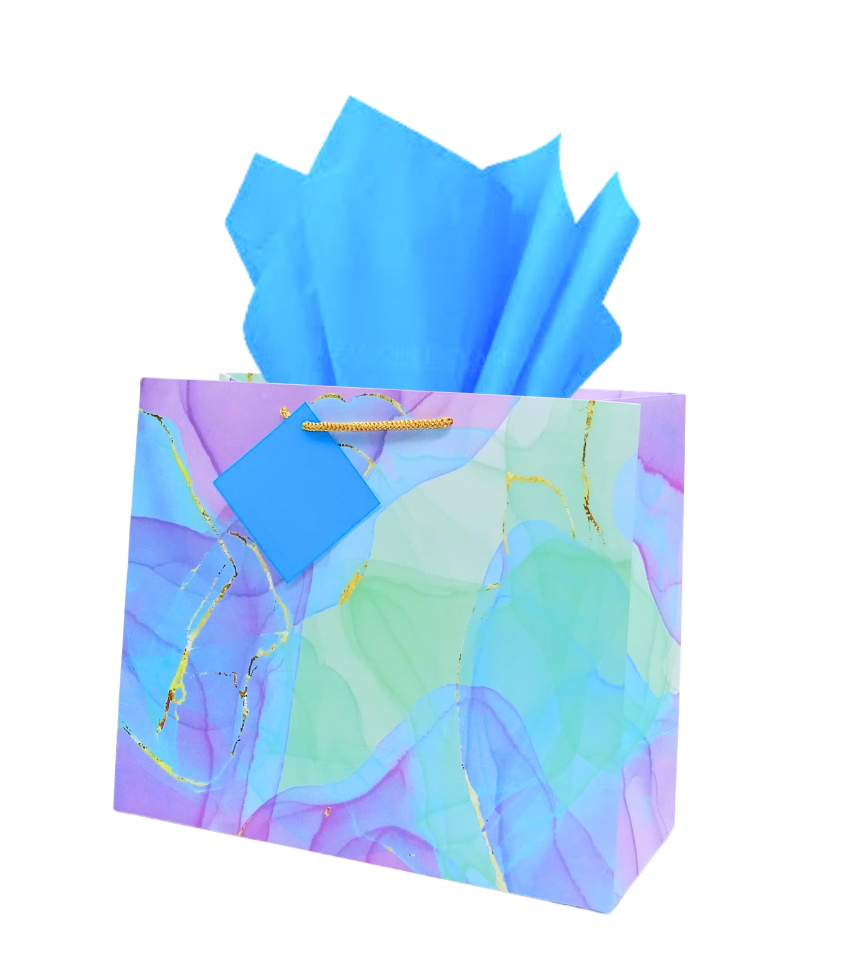 RanGit Bhumi 12x10x5 Inch Medium Blue Paper Gift Bags - Eco-Friendly Party Favor Bags for Birthday, Wedding, Engagement & Festivals | Perfect for Candies, Goodies & Return Gifts
