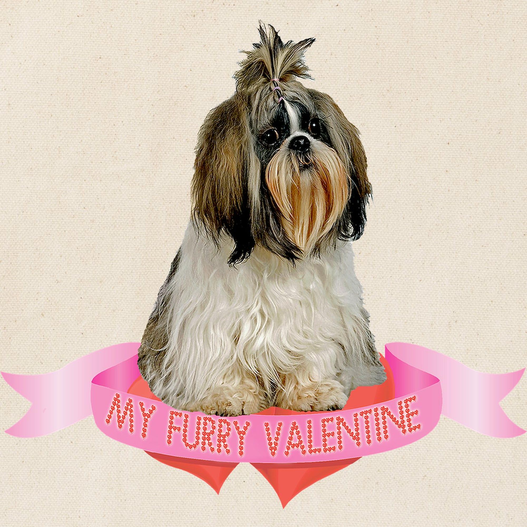 Shih Tzu Valentine Tote Bag - Natural Canvas Reusable Shopping Bag for Groceries, Beach & Daily Use | Cute Dog Lover Gift
