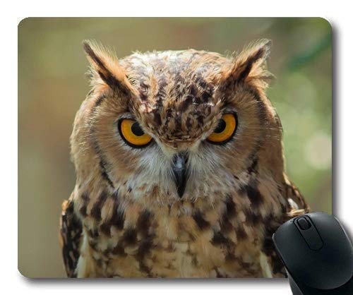Premium Gaming Mouse Pad with Owl Design - Non-Slip Large Mouse Mat with Stitched Edges for PC, Laptop & Office Use - Perfect for Gamers, Graphic Designers & Home Office Setup