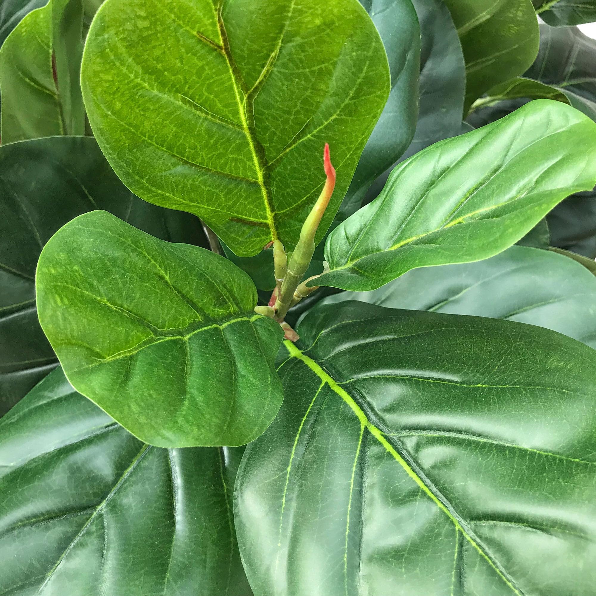 6' Real Touch Fiddle Leaf Fig Silk Tree with Pot - 105 Leaves - Green Artificial Plant for Home Decor, Office, Living Room, Bedroom