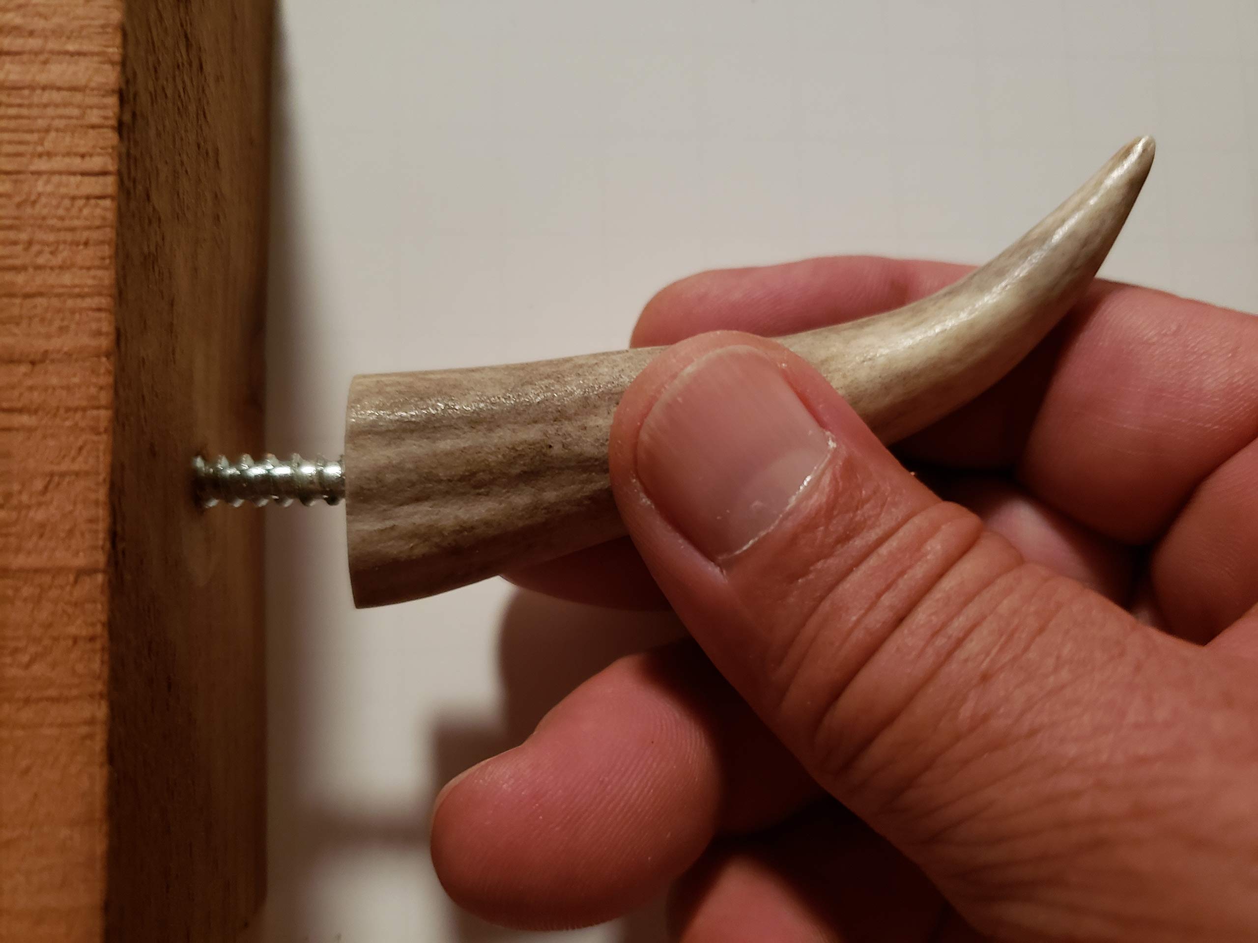 Premium Real Antler Tip Wall Hooks - 3 Pack for Screwing into Wood or Drywall - Perfect for Coats, Hats & Home Decor