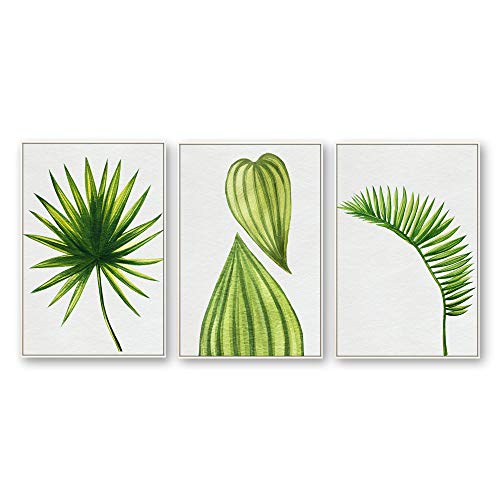 Plants-1909-n14