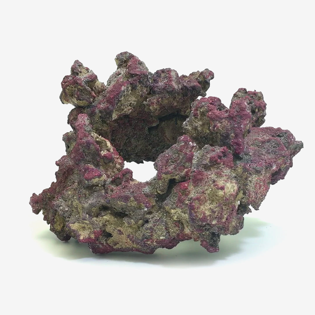 Premium CaribSea LifeRock - Natural Live Rock for Saltwater Aquariums | Enhances Marine Life & Water Quality | Perfect for Reef Tanks, Coral Growth & Fish Habitats