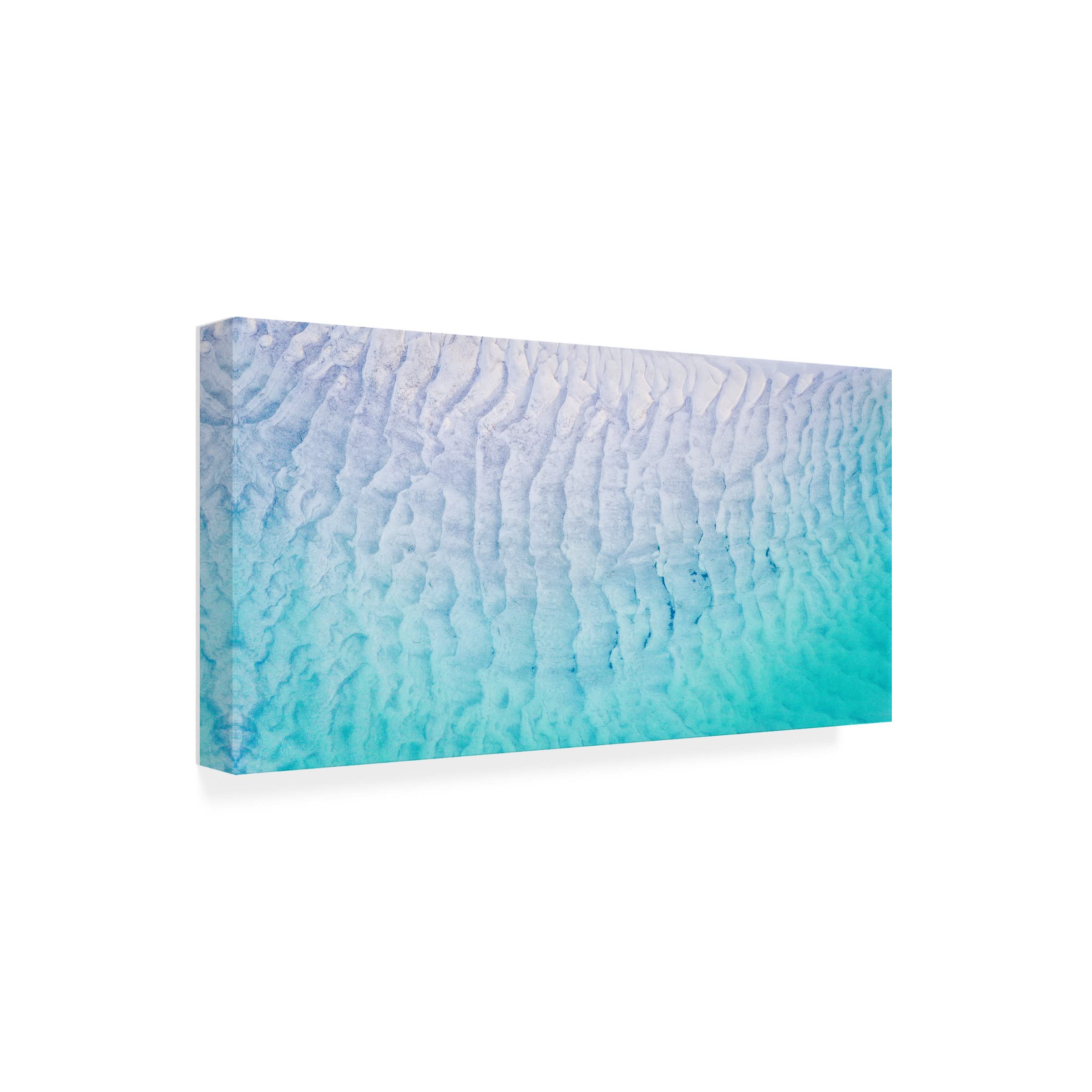 Trademark Fine Art 'Created by Nature 2' Canvas Wall Art by Beata Czyzowska Young - Nature Inspired Landscape Painting for Living Room, Bedroom & Office Decor