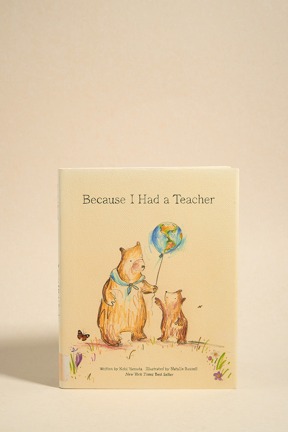 Because I Had A Teacher - Inspirational Children's Book for Teachers & Students - Perfect for Classroom Reading, Teacher Appreciation Gifts & Bedtime Stories