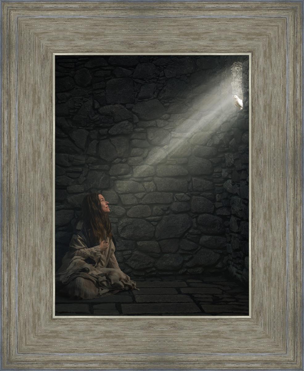 A Captive's Hope - Inspirational Novel for Overcoming Adversity | Perfect for Book Clubs, Personal Growth & Motivational Reading