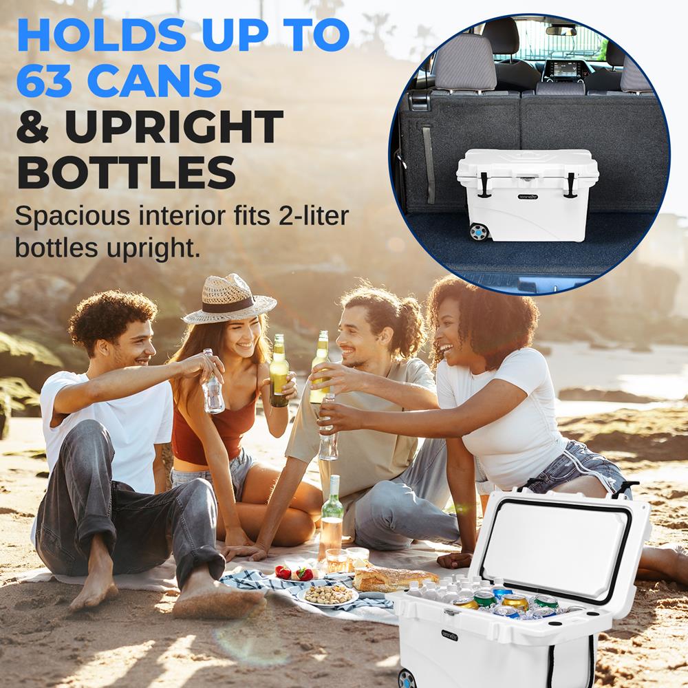 Portable Cooler Box - Insulated Lunch Bag for Picnics, Camping & Beach Trips - Leakproof & Lightweight Cooler for Food & Drinks