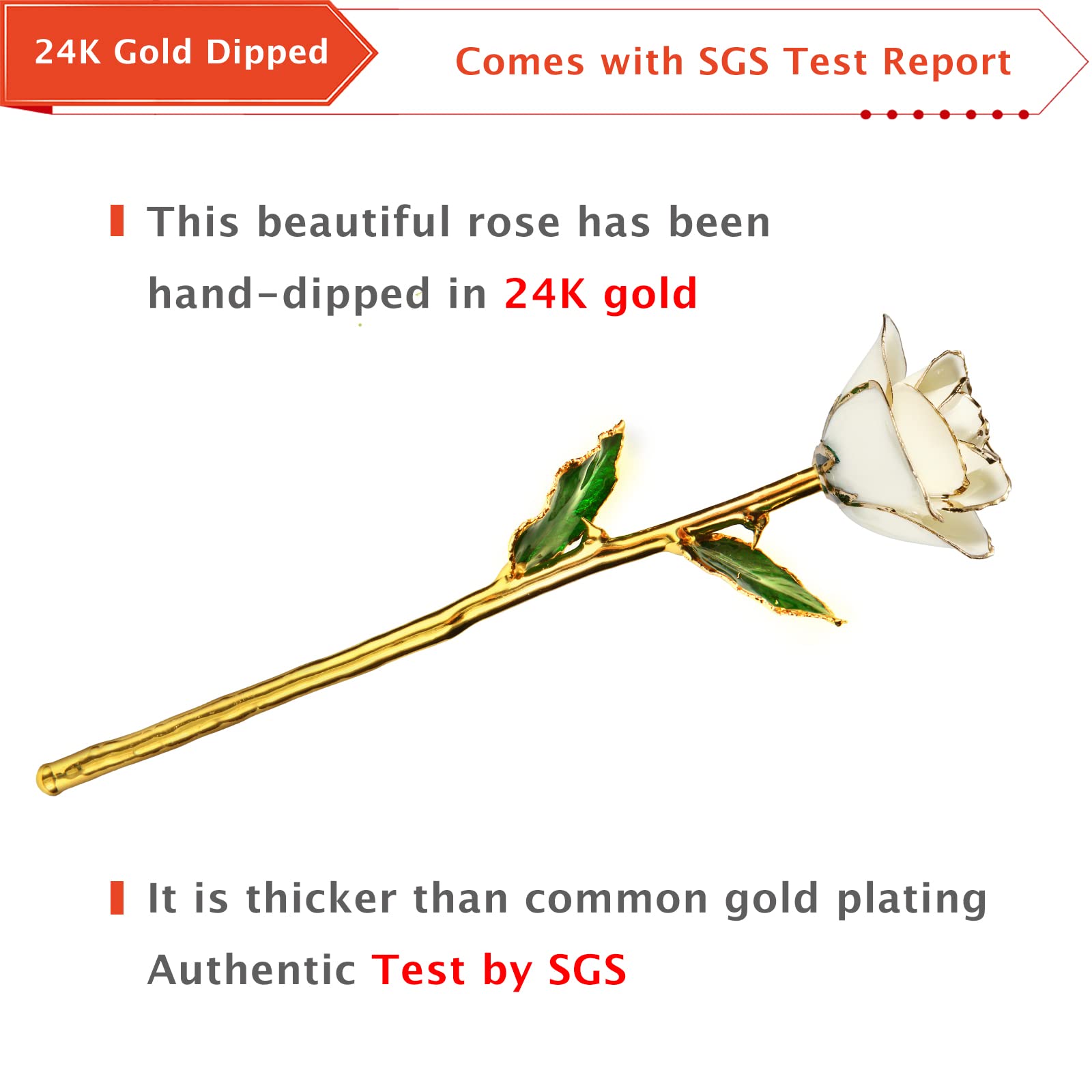 24K Gold Dipped Real Rose in White - Eternal Preserved Rose Gift for Anniversary, Valentine's Day, Mother's Day & Birthday (With Display Stand) | Romantic Home Decor, Wedding Centerpiece, Luxury Gift Idea