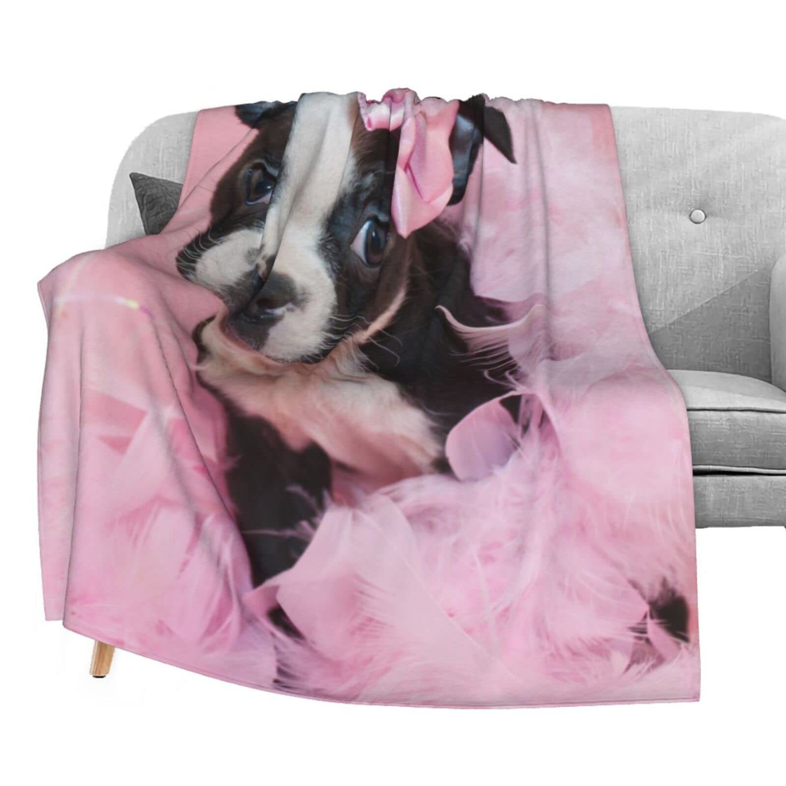 Super Soft Dujiea Boston Terrier Puppy Flannel Blanket 40x50 Inches - Lightweight Cozy Throw for Couch, Sofa & Bed - Perfect for Kids, Adults & Pet Lovers - Great for Movie Nights, Napping & Home Decor
