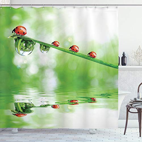 Red Green