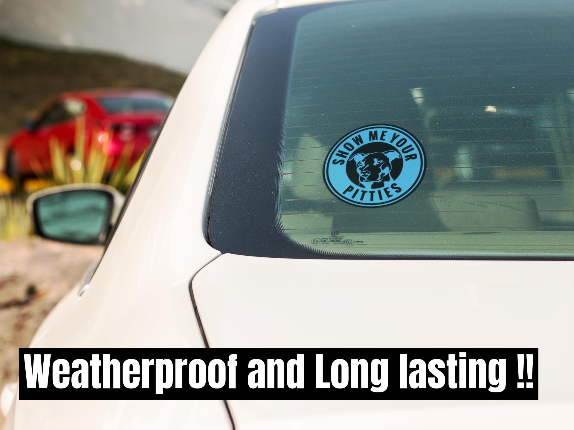 Pitbull Show Me Your Pitties Vinyl Decal Sticker - Light Blue 5.5x5.5 Inches - Waterproof Car, Truck, Wall, Van, Window & Laptop Sticker - Perfect for Pet Lovers & Pitbull Fans - KCD1836LBL