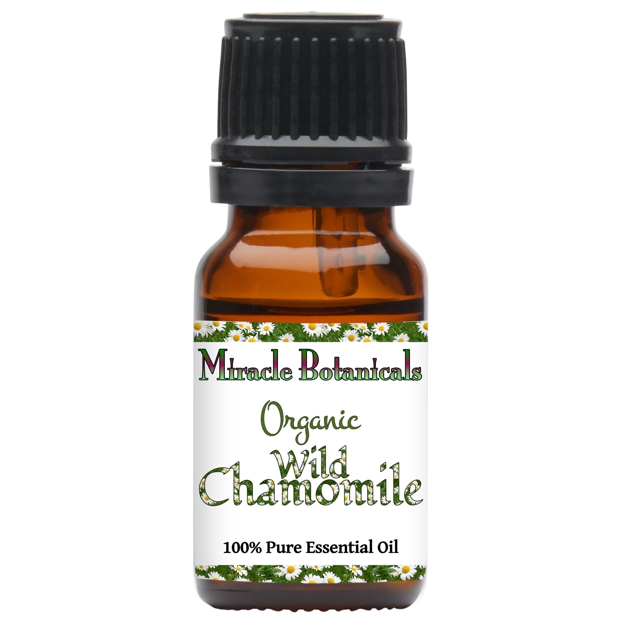 Organic Wild Chamomile Essential Oil (Ormenis Mixta) - Pure Aromatherapy Oil for Relaxation, Stress Relief & Sleep Aid - Perfect for Diffusers, Massage & Skincare