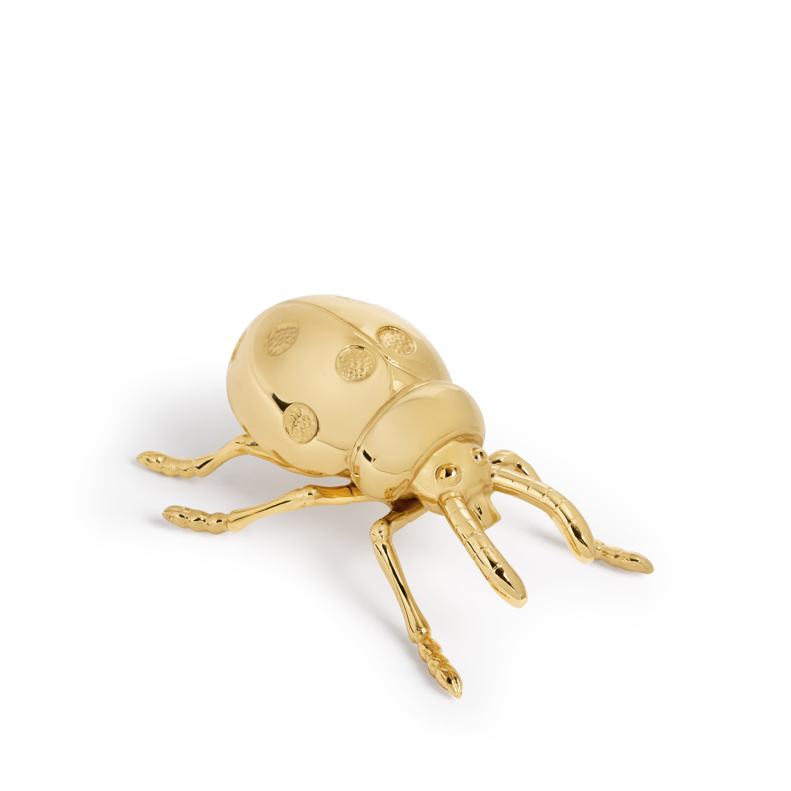 Stainless Steel Ladybug Bottle Opener - Cute Kitchen Tool for Beer, Soda & Home Bar Accessories | Perfect for Parties, BBQs & Outdoor Gatherings