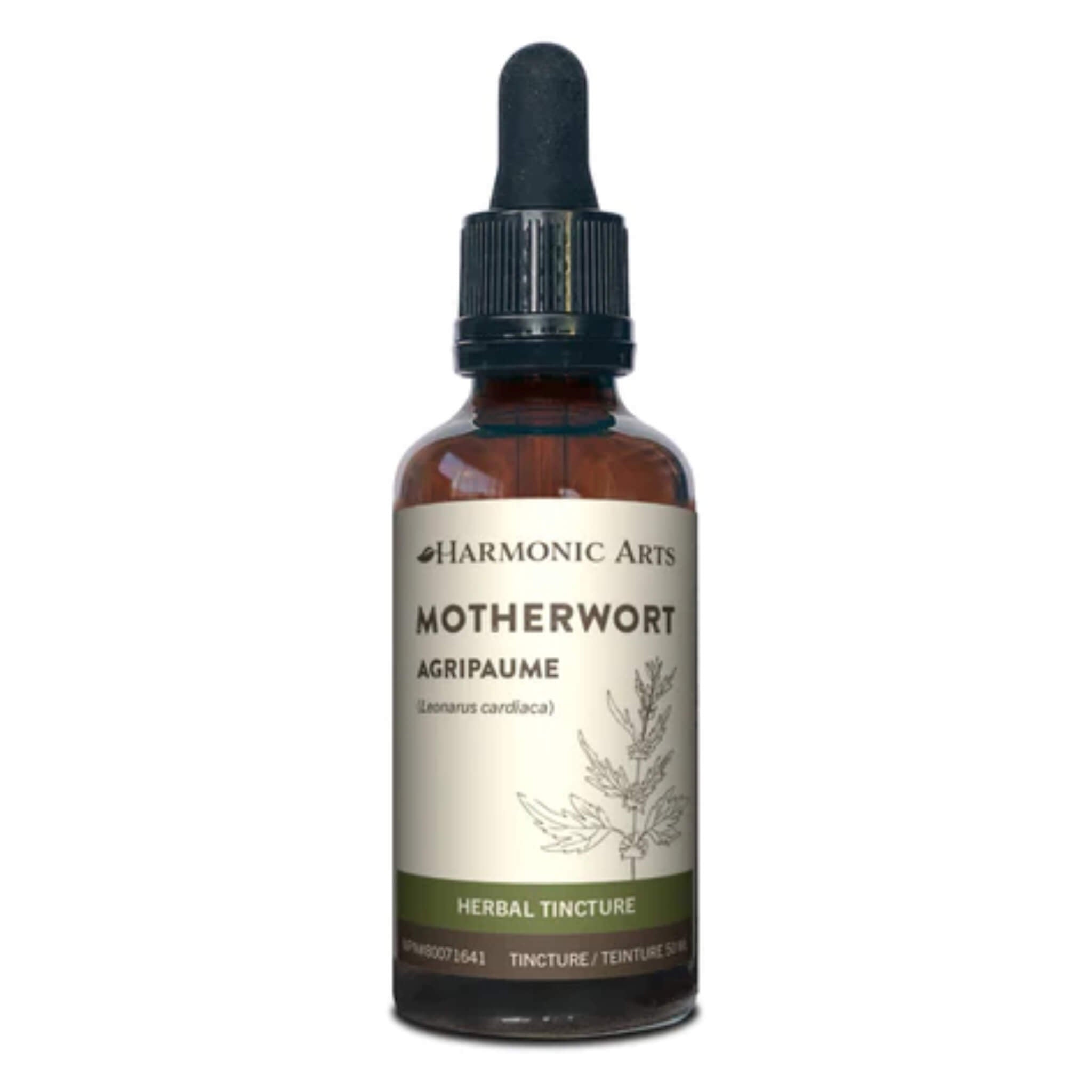 Motherwort Herb (Leonurus Cardiaca) - Natural Herbal Supplement for Stress Relief & Heart Health | Supports Relaxation & Emotional Balance