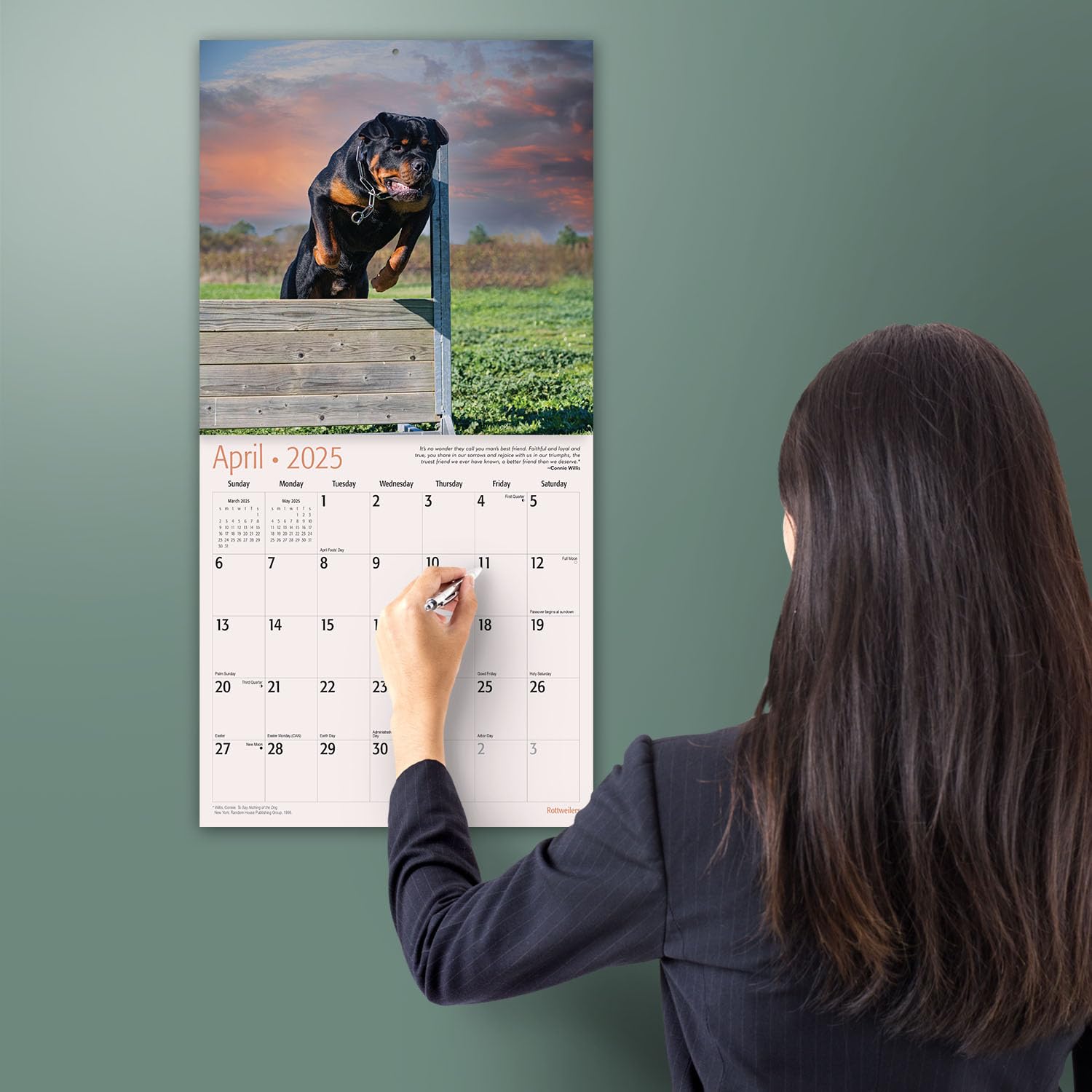 MICASA PRESS - 2025 Rottweiler Wall Calendar | 12
