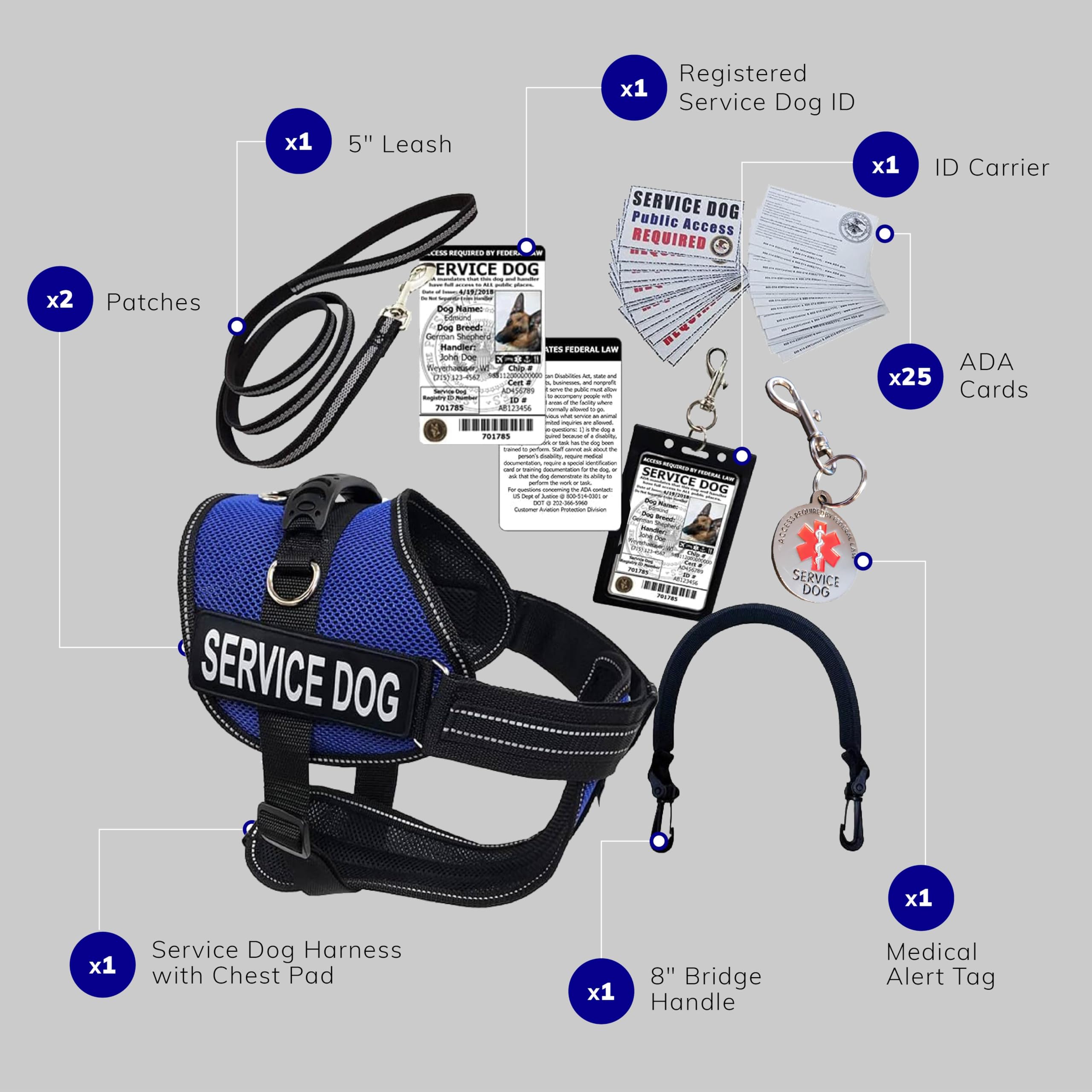 ActiveDogs Small Blue Service Dog Vest Harness with Handle - Complete ADA Compliant Kit Includes ID Holder, Medical Alert Keychain, Leash & Patches - Perfect for Therapy Dogs, Emotional Support Animals & Public Access Training