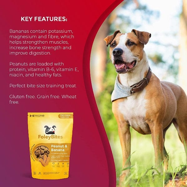 Premium Baked Dog Treats - Foley Bites Peanut & Banana Flavor | All-Natural, Grain-Free Snacks for Training & Rewarding Dogs | Perfect for Small, Medium & Large Breeds