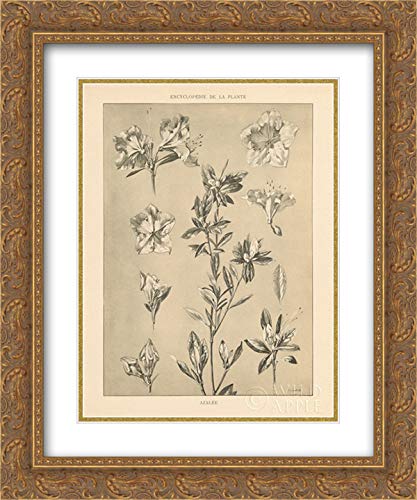Gold Ornate Wood Frame with Double Matting