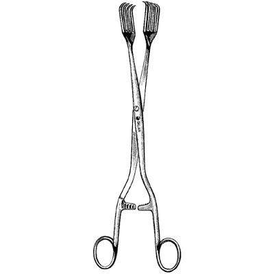 Billroth Forceps 10 3/4