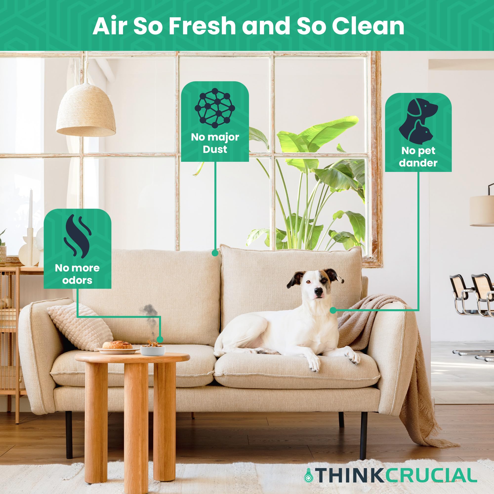 Crucial HEPA Vacuum Filters for Dirt Devil F-43 - 2 Pack for Home Cleaning