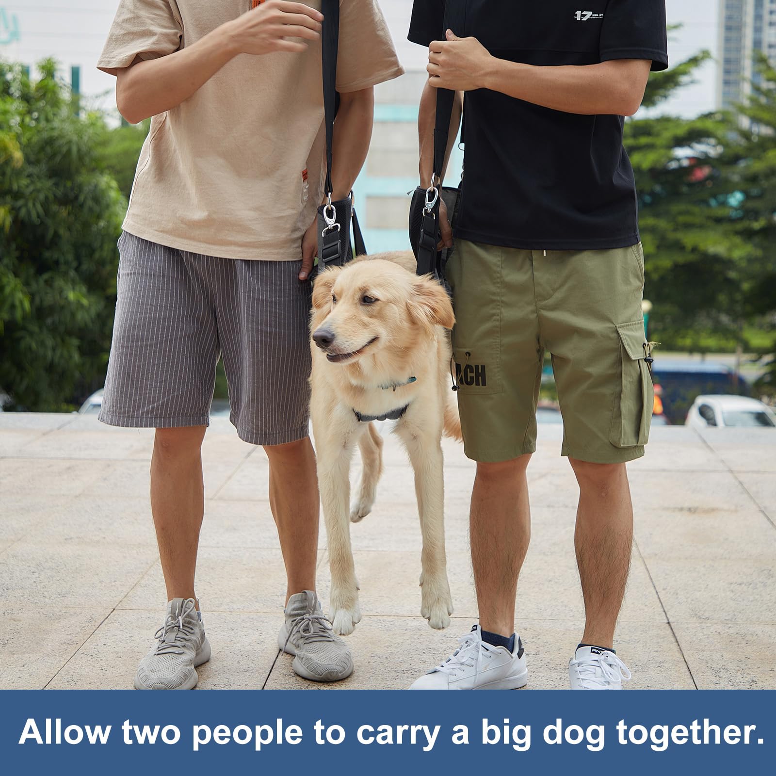 COODEO Dog Lift Harness - Adjustable Pet Sling Carrier for Senior Dogs with Joint Pain, Arthritis & Injuries - Emergency Support for Nail Trimming, Stairs & Rehabilitation (2XL, Black) - Perfect for Elderly Pets, Post-Surgery Care & Mobility Assistance