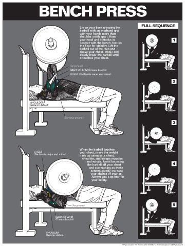 Bench Press Laminated Workout Chart - Strength Training Guide for Home & Gym Fitness Routines