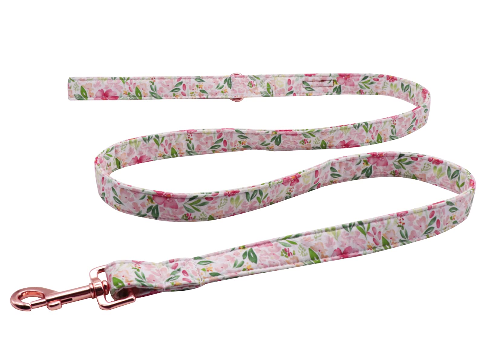 Premium Lionet Paws Dog Leash and Matching Collar Set - Adjustable for Small, Medium & Large Dogs - Comfortable & Durable for Walking, Training & Outdoor Adventures