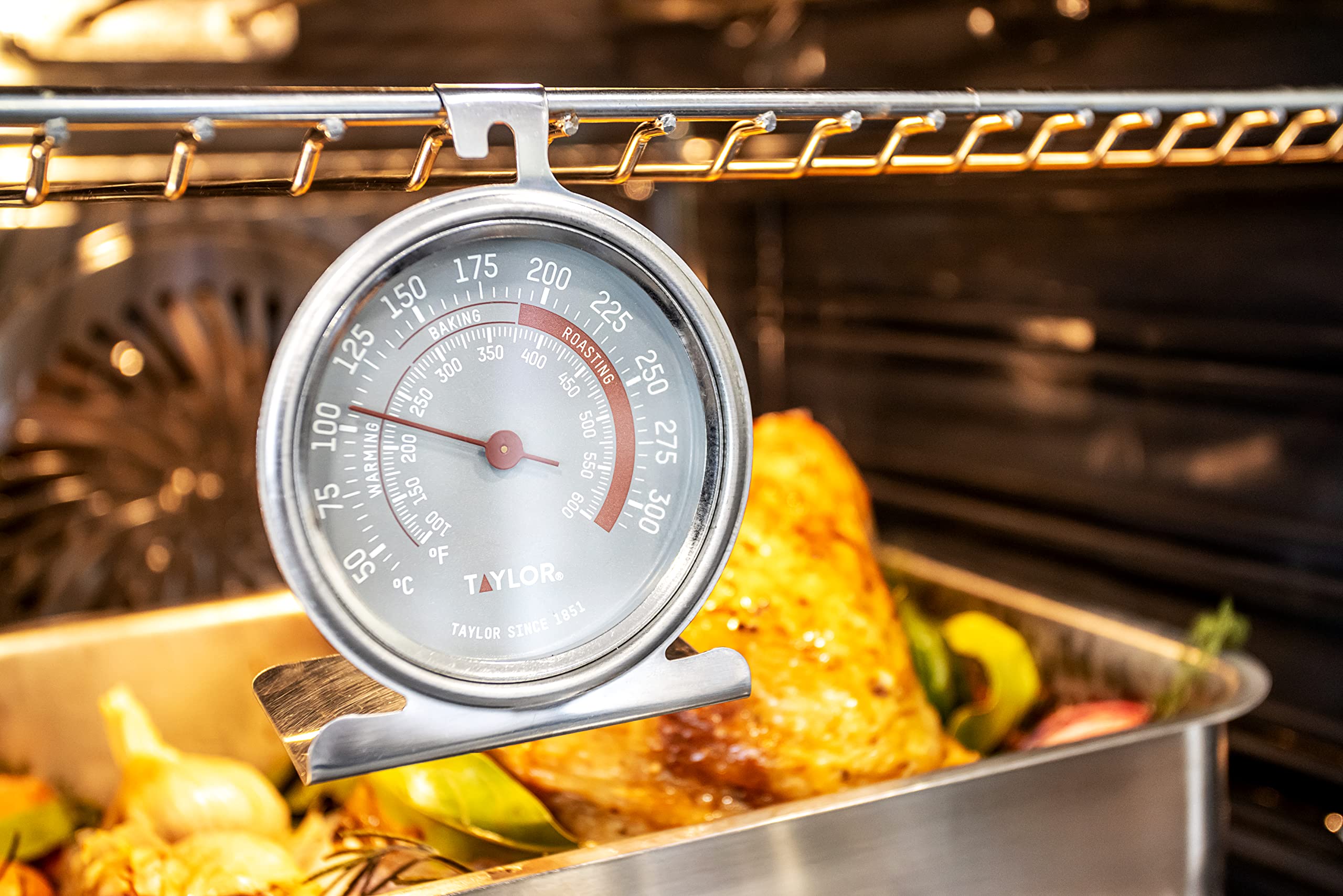 Taylor Typthoven Professional Oven Thermometer - Stainless Steel, 9 x 8.5 cm - Accurate Baking & Cooking Temperature Gauge for Home Kitchen, BBQ, Grilling