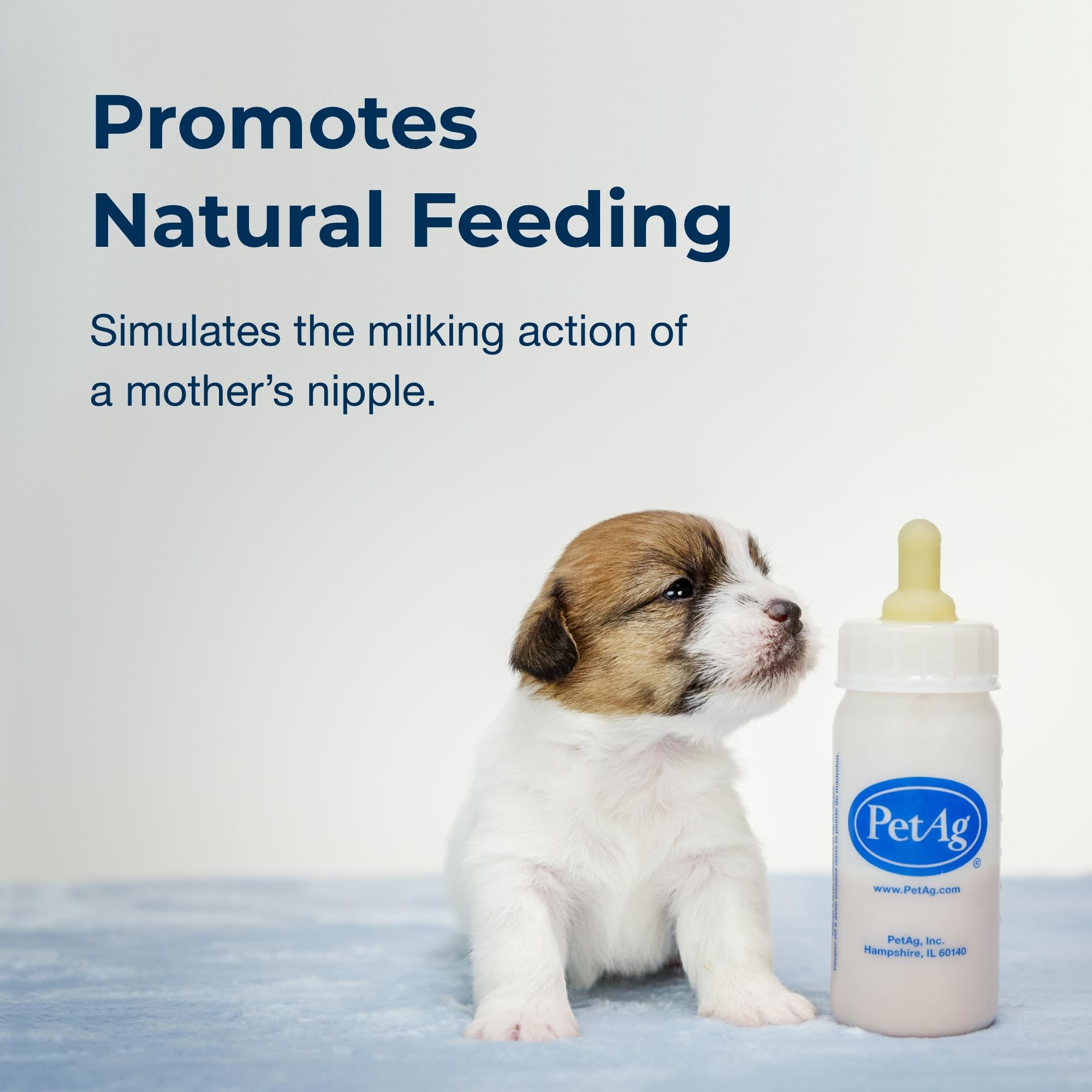 PetAg Nursing Kit 2oz (2-Pack) - Natural Feeding for Baby Animals - Home & Vet Use