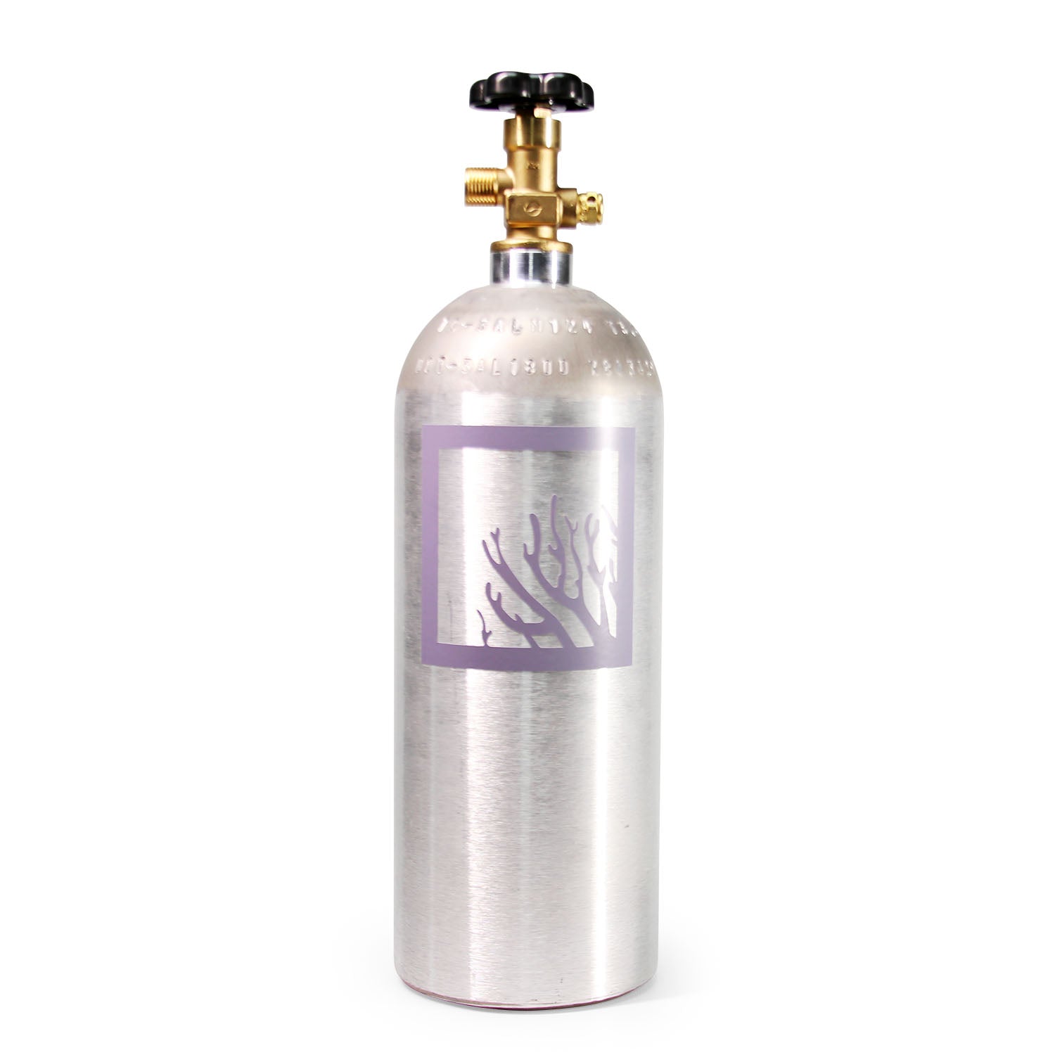 5lb Empty Aluminum CO2 Tank - Refillable Cylinder for Homebrew, Soda Makers & Aquariums - Lightweight & Durable CO2 Bottle for Beverage Dispensing & Hydroponics
