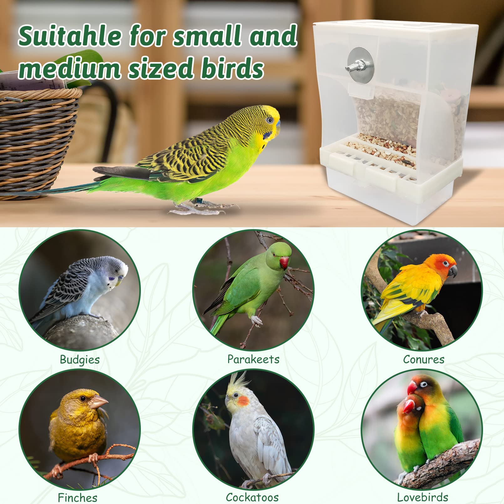 Automatic Bird Feeder for Cockatiel, Parrot & Finch - 2Pcs - Cage Accessories for Mess-Free Feeding