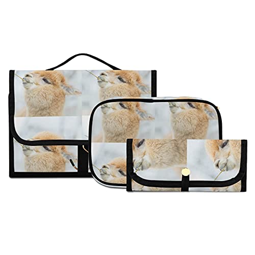 Llama Alpaca Seamless 3-Piece Travel Set - Women's Cosmetic Bag, Hanging Toiletry Organizer & Pencil Case - Portable Makeup Brush Storage for Vacation, Gym, College Dorm Essentials