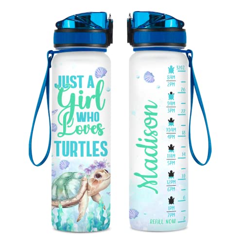 Turtle 1