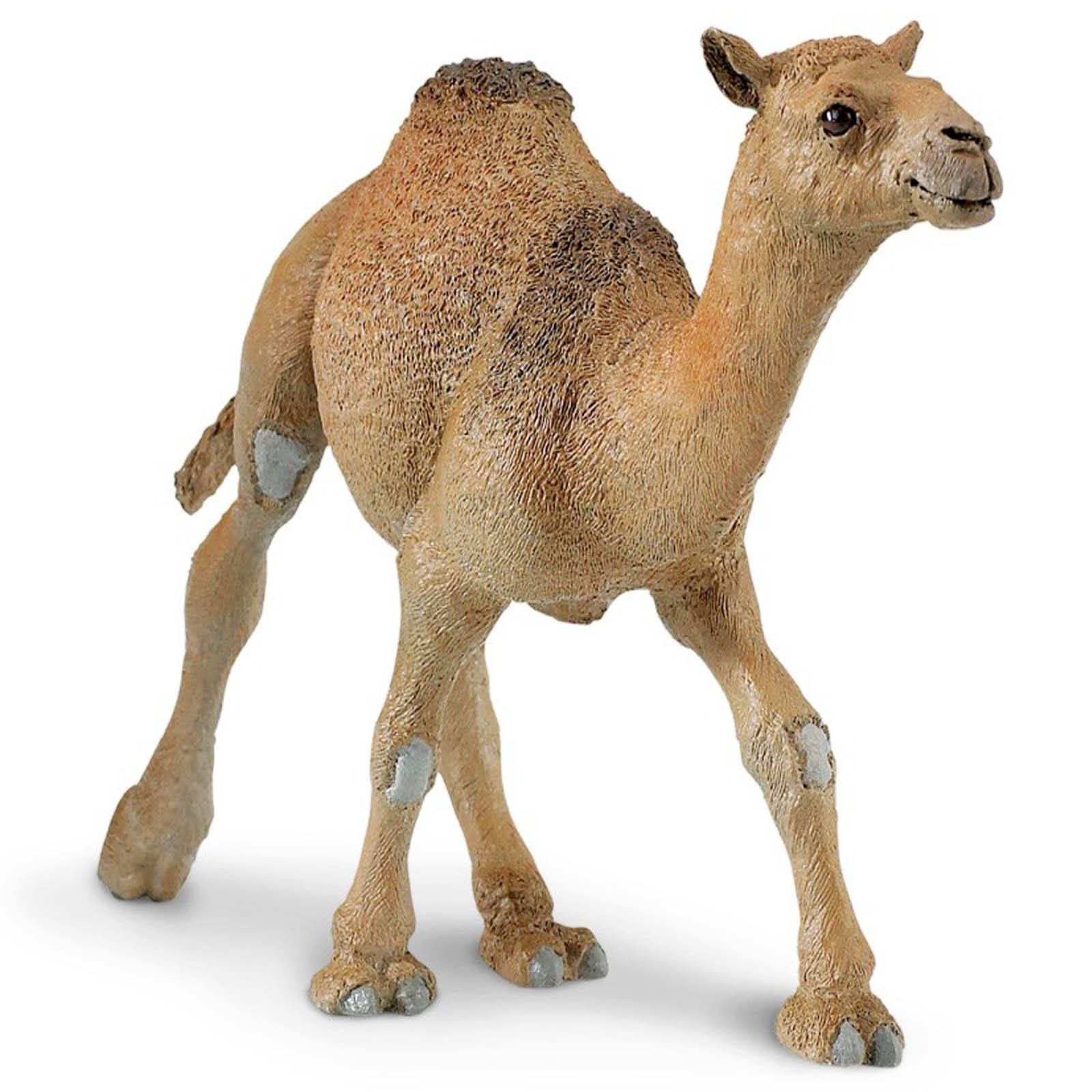 Dromedary Camel Wildlife Figure by Safari Ltd - Realistic Desert Animal Toy for Kids, Educational Play & Safari Adventure Scenes