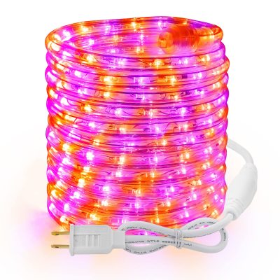 The Enchanted Halloween Night with BrizLabs LED Rope Lights