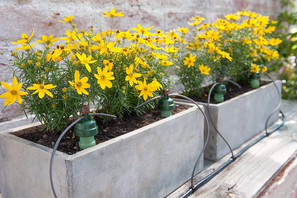 Blumat Automatic Drip Irrigation System for 8 Plants with Pressure Reducer - No Electricity or Batteries Needed - Perfect for Garden, Patio, Hanging Baskets, Raised Beds & Greenhouses | Indoor & Outdoor Plant Watering Solution