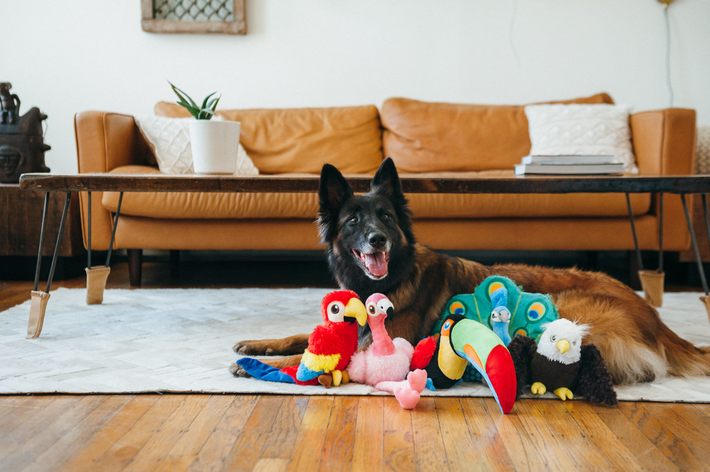 Edgar the Eagle Plush Dog Toy - Fetching Flock™ Chew-Resistant Squeaky Stuffed Animal for Medium & Large Dogs | Perfect for Fetch, Tug-of-War & Cuddling | Pet P.L.A.Y.