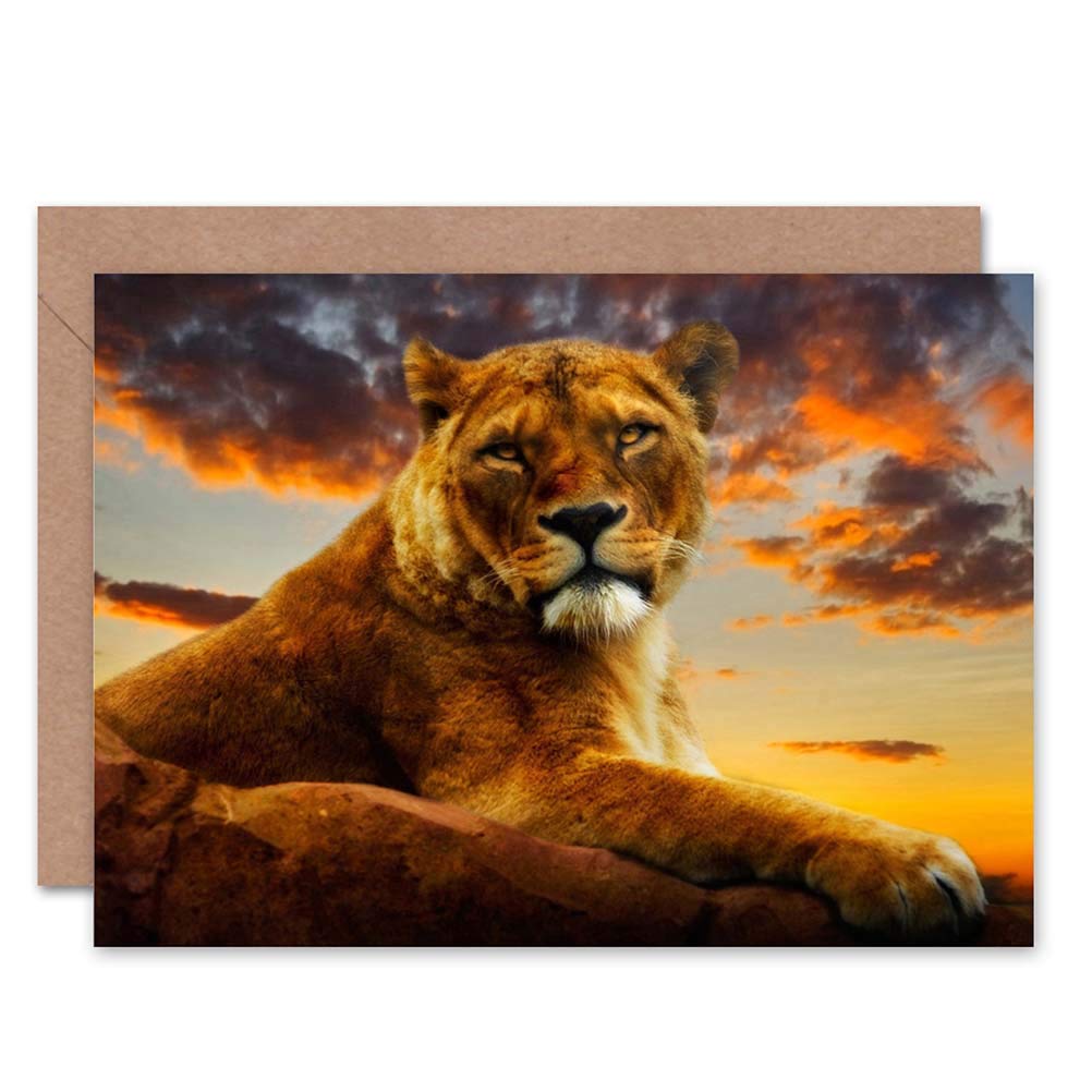 Wee Blue Coo African Lioness Sunset Photo Blank Greeting Card - Perfect Birthday Gift, Thank You Card & Wall Art for Wildlife Lovers