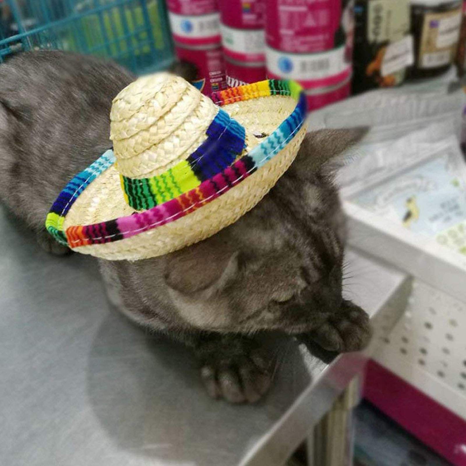 Mini Straw Sombrero Hat for Dogs & Cats - Mexican Party Hat for Small Pets & Puppies - Perfect for Cinco de Mayo, Halloween & Costume Parties
