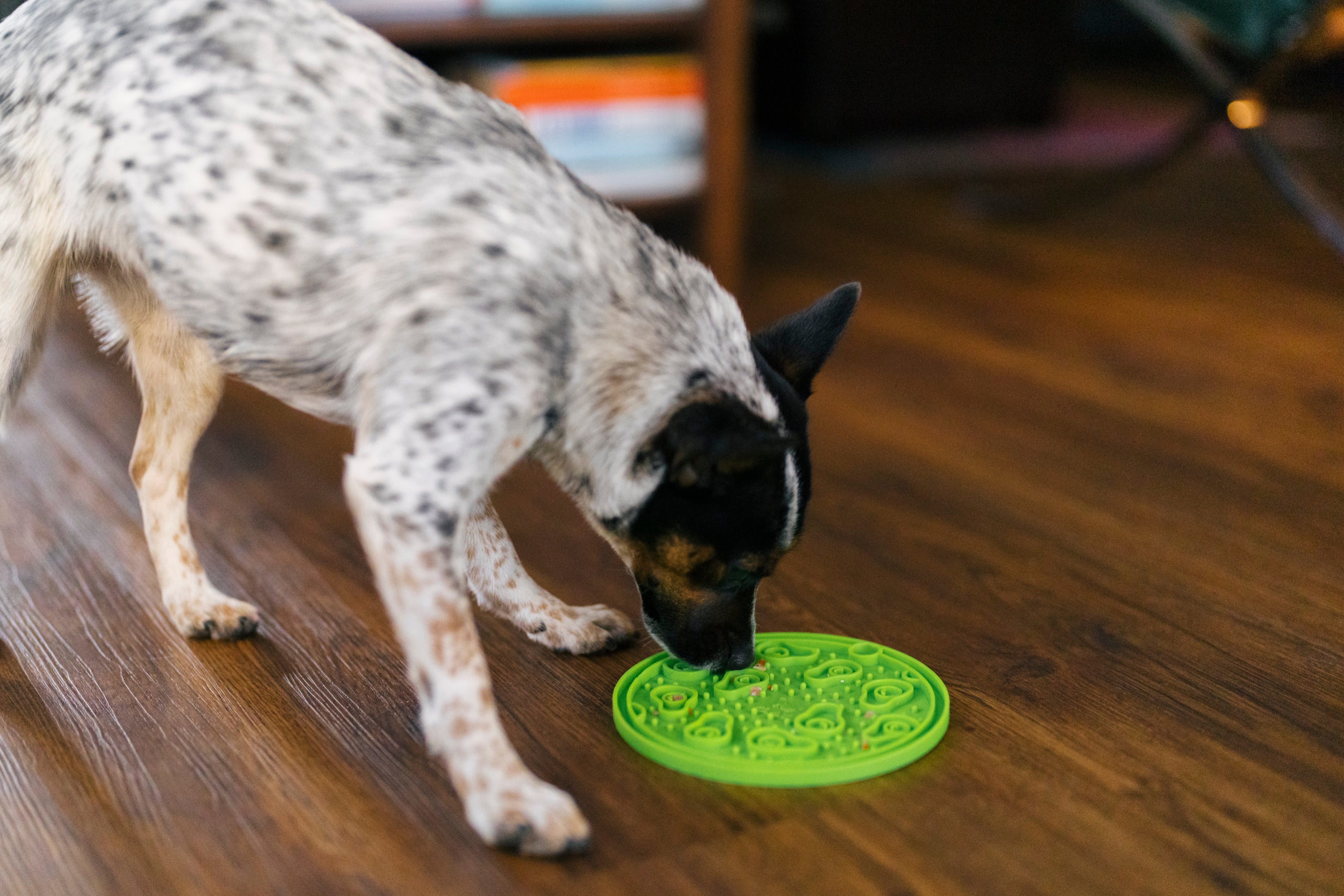 EverLick Slow Feeder Mat for Dogs and Cats - Avocado (Small) & Pineapple (Large) | Pet P.L.A.Y. - Interactive Puzzle Toy for Mealtime Fun & Mental Stimulation