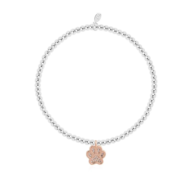 Joma Jewellery Bracelet - A Little Love Has Four Paws - Dainty Pet Lover Bracelet for Women - Perfect Gift for Dog & Cat Owners - Wear Daily or for Special Occasions