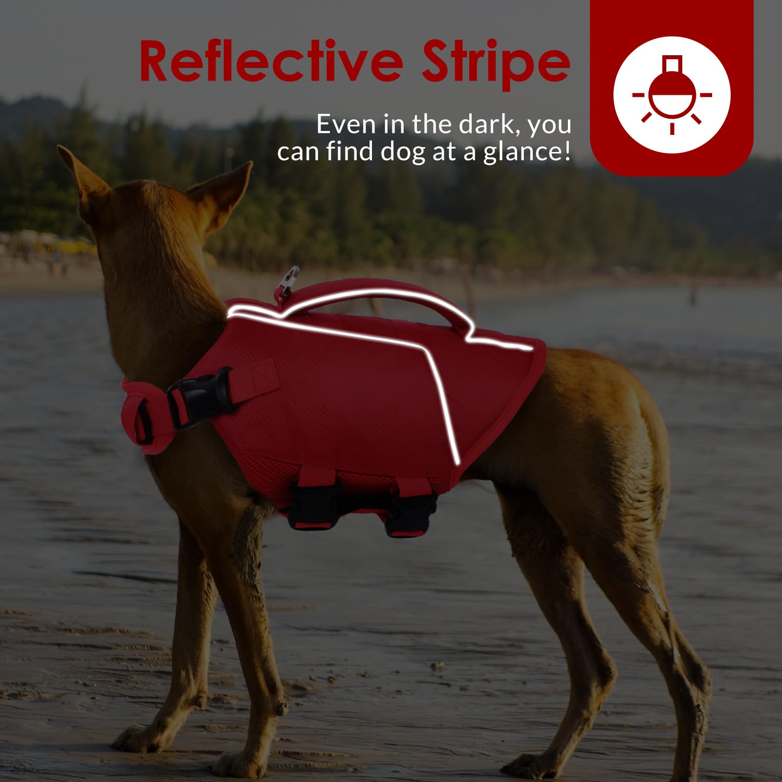 ASENKU Lightweight Dog Life Jacket - High Flotation Pet Vest for Swimming, Boating & Water Safety - Adjustable Fit for Small, Medium & Large Dogs - Perfect for Pool, Beach & Outdoor Water Activities