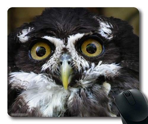 Premium Gaming Mouse Pad with Stitched Edges - Cute Owl Design for PC & Laptop - Non-Slip Rubber Base for Smooth Control - Perfect for Office, Gaming & Home Workspace