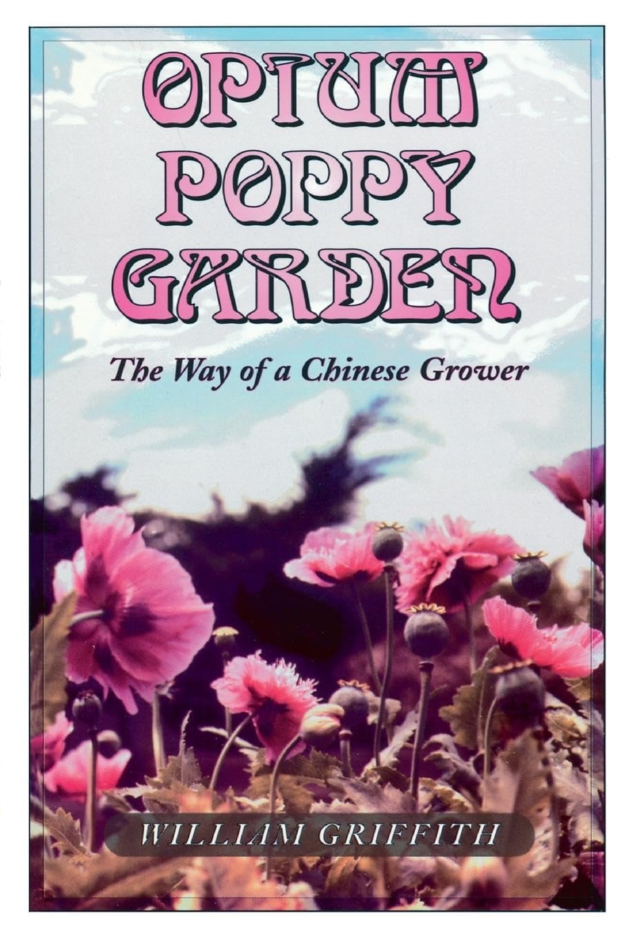 Opium Poppy Cultivation Guide: Chinese Grower's Techniques for Home Gardening | Perfect for Herbal Gardens & Botanical Enthusiasts