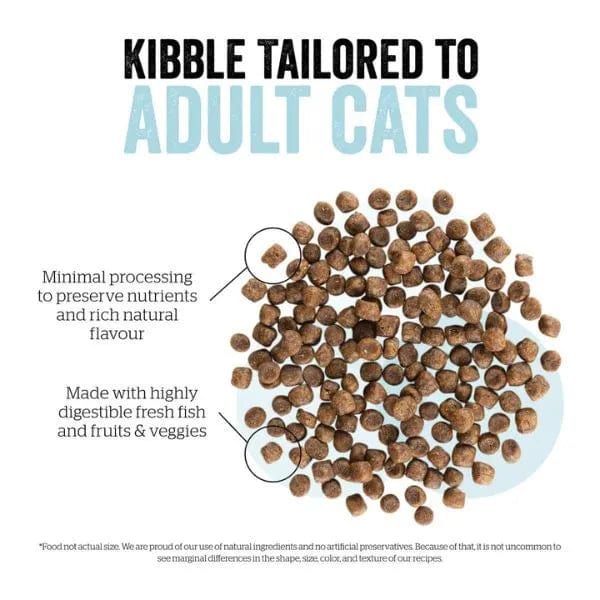 Now Fresh Fish Recipe Adult Dry Cat Food - Grain-Free, High Protein for Healthy Skin & Coat - Perfect for Indoor & Outdoor Cats