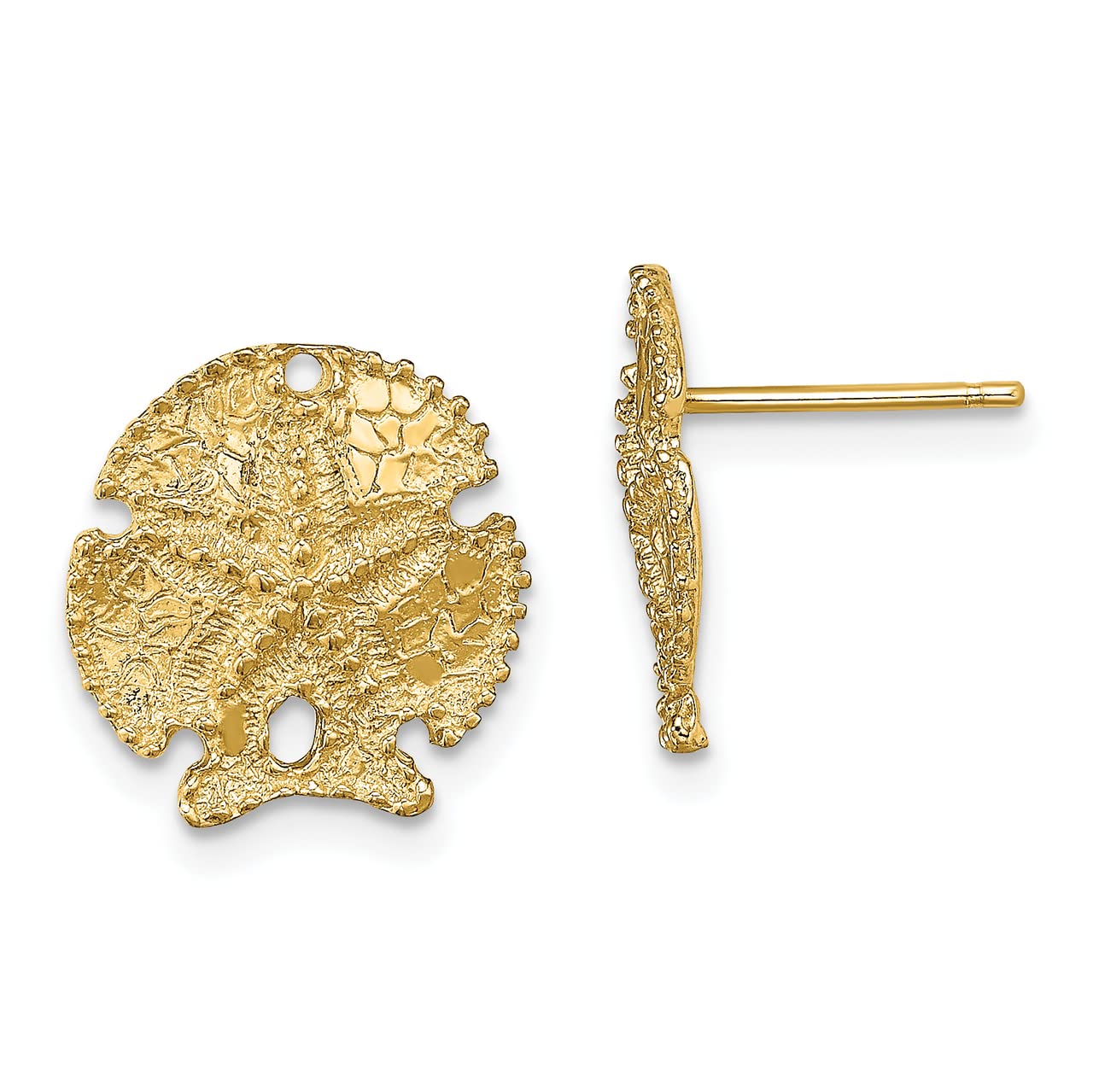 14k Yellow Gold Textured Sand Dollar Stud Earrings - Dainty Beach Jewelry for Women, Perfect for Summer Vacations & Coastal Weddings