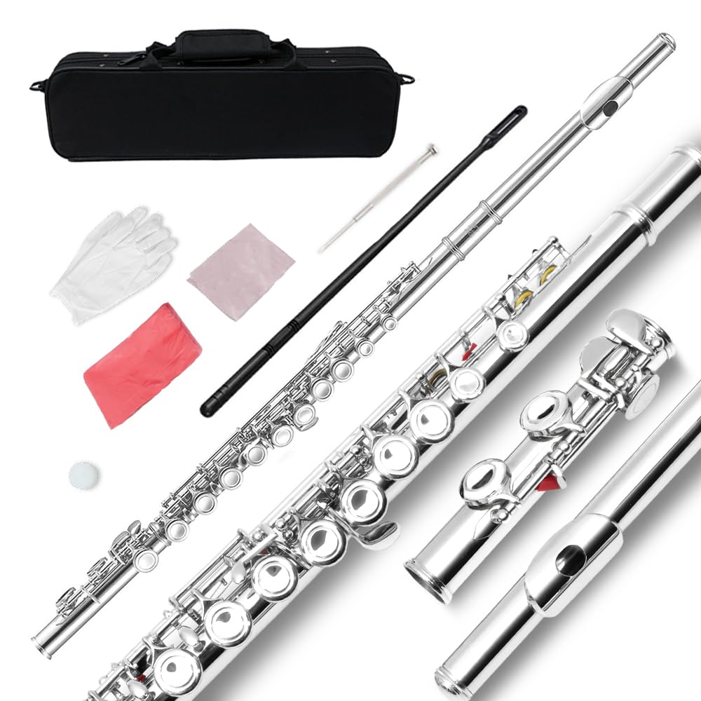 16 Key Closed Hole C Flute - Beginner Student Flute with Durable Design, Easy to Play, Includes Carrying Case, Cleaning Kit & Gloves - Perfect for Music Lessons, School Bands & Home Practice (Silver)