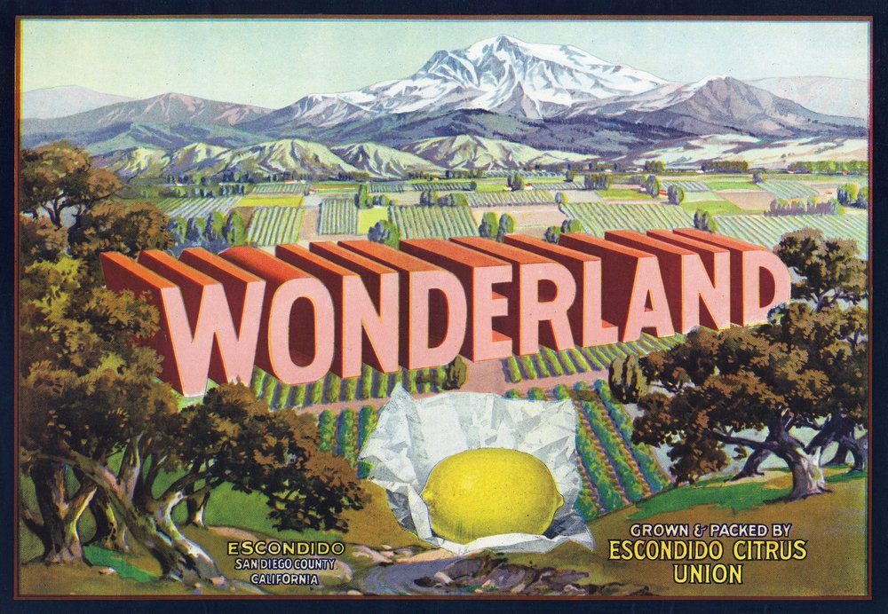 Wonderland Brand Citrus Label 27107 - Signed 24x36 Art Print - California Orange Theme Wall Decor Poster - Perfect for Kitchen, Dining Room & Farmhouse Decor