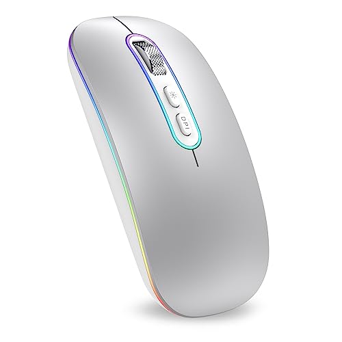 BT5.1 & 2.4G-Sliver